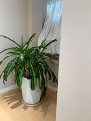 -HEYAN长风荷妍专业脱毛美肤
