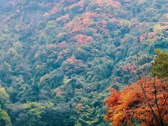 -秦岭终南山世界地质公园翠华山景区