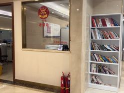 -碧莲盛·不剃发植发