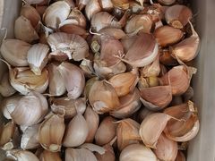 蒜瓣-牛老五羊杂汤(广阳区总店)