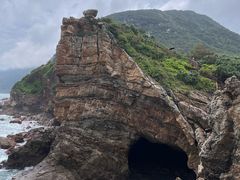 -杨梅坑