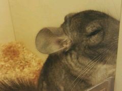 -龙猫仔乐园(惠福东路店)