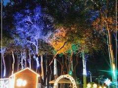 -枫花园汽车电影院(朝阳公园店)