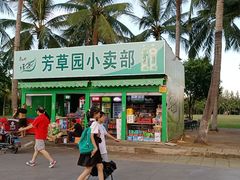 -万绿园