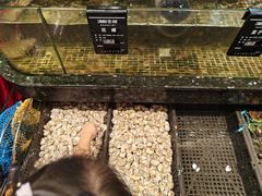 -海鲜e族(马王堆店)