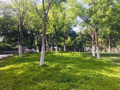 -西海子公园