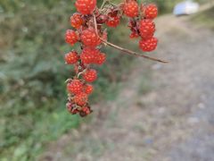 -东钱湖旅游度假区