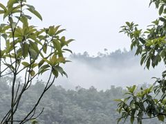 -永康小长城