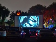 -枫花园汽车电影院(朝阳公园店)