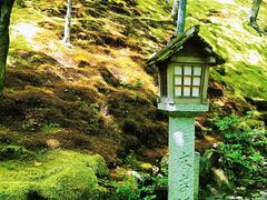 -常寂光寺