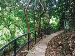 南丫岛-南丫岛
