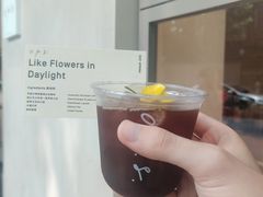 Like&nbsp;Flowers&nbsp;in&nbsp;Daylight-O.P.S. CAFE