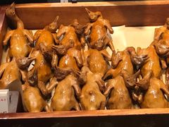 -燕郊烧鸽子(广安路店)