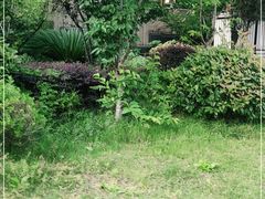 -浙江省杭州高级中学(贡院校区)