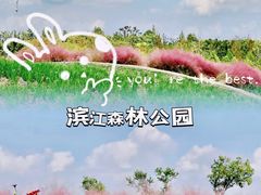 -上海滨江森林公园