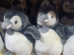 -海合安青岛极地海洋公园