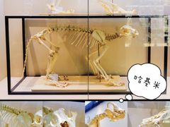 -广东中医药博物馆