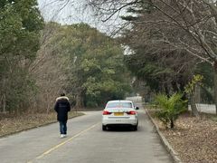 -胜华驾校·小猫学车(银都店)