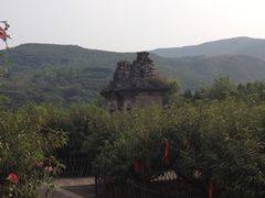 景点-蒙山大佛景区