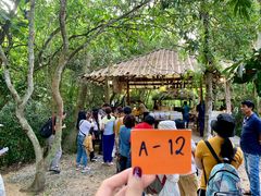 -Bamboo Saturday Market(Nana Jungle)