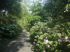 -铁山坪森林公园