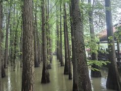 -采石矶景区