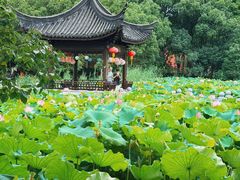 -丝绸小镇荻港古村