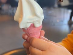 -麦当劳(红旗路店)