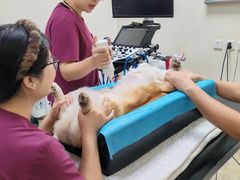 -美联众合动物医院·24h转诊中心