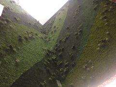 -蓝钻天成