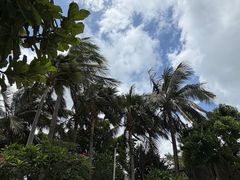 -源·咖啡自助餐厅·开渔季·闽南美食·三文鱼·烧烤(海口华彩洲际酒店)