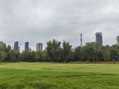 -咸阳湖景区