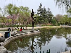 -西安市长乐公园