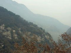 -王顺山国家森林公园