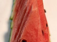 -秦月轩·长安小馆·新陕菜(阜成路·五棵松店)