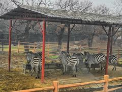 -西安秦岭野生动物园