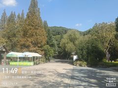 -上海佘山国家森林公园西佘山园