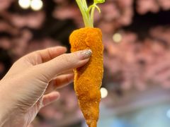 -丁老爷子苏香圆