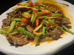 -陈麻婆豆腐总店
