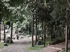 -吉林省自然博物馆