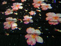 -西青郊野公园