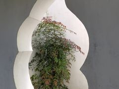 -豫园
