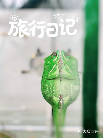 自从前几个月办了年卡后，这还是头一次正式拿着年卡去参