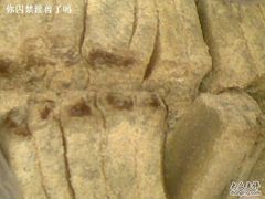 凉卷&nbsp;集体照-闻酥园(青羊区人民中路店)