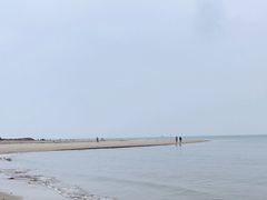 -东郊椰林