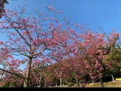 -风云岭森林公园