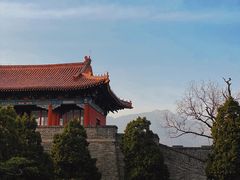 -泰山花样年华景区