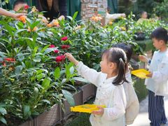 -金豆子幼稚园