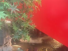 -太阳门淮扬菜(南京博物院店)