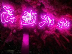 -啤仕多·啤客国潮跳舞BAR(保俶路店)